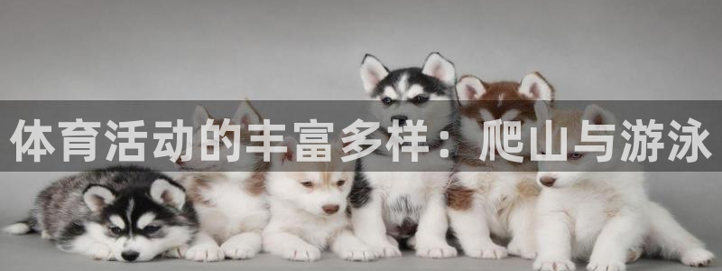 哈哈体育下载