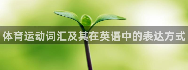 哈哈体育十年