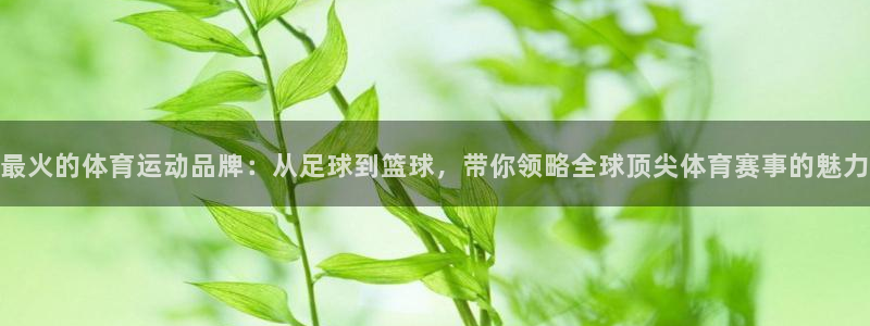 哈哈体育