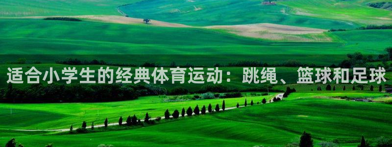 哈哈体育十年