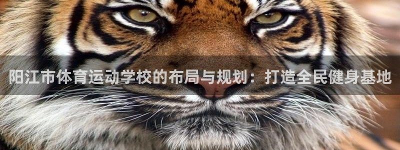 哈哈体育十年